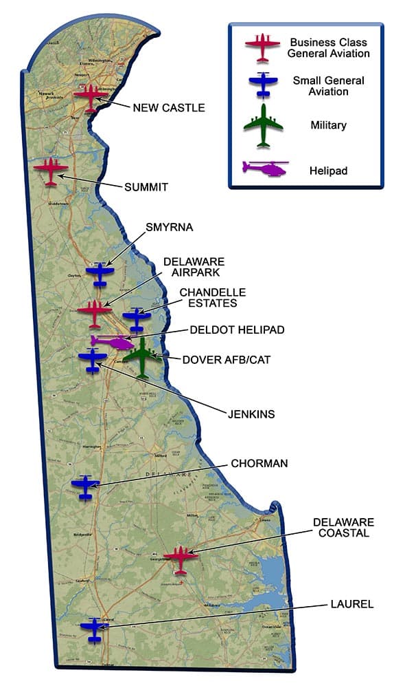 section image